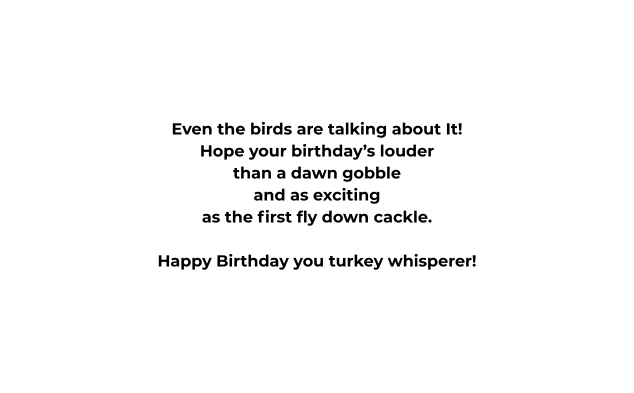 2 Cartoon Turkeys
