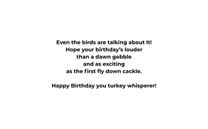 2 Cartoon Turkeys
