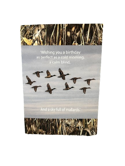 Sky Full of Mallards