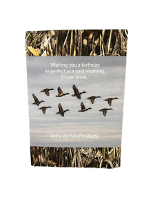 Sky Full of Mallards