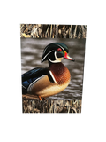 Wood Duck